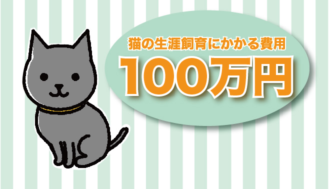 猫の飼育に必要な全費用 約100万円 購入時の値段や毎月のエサ代